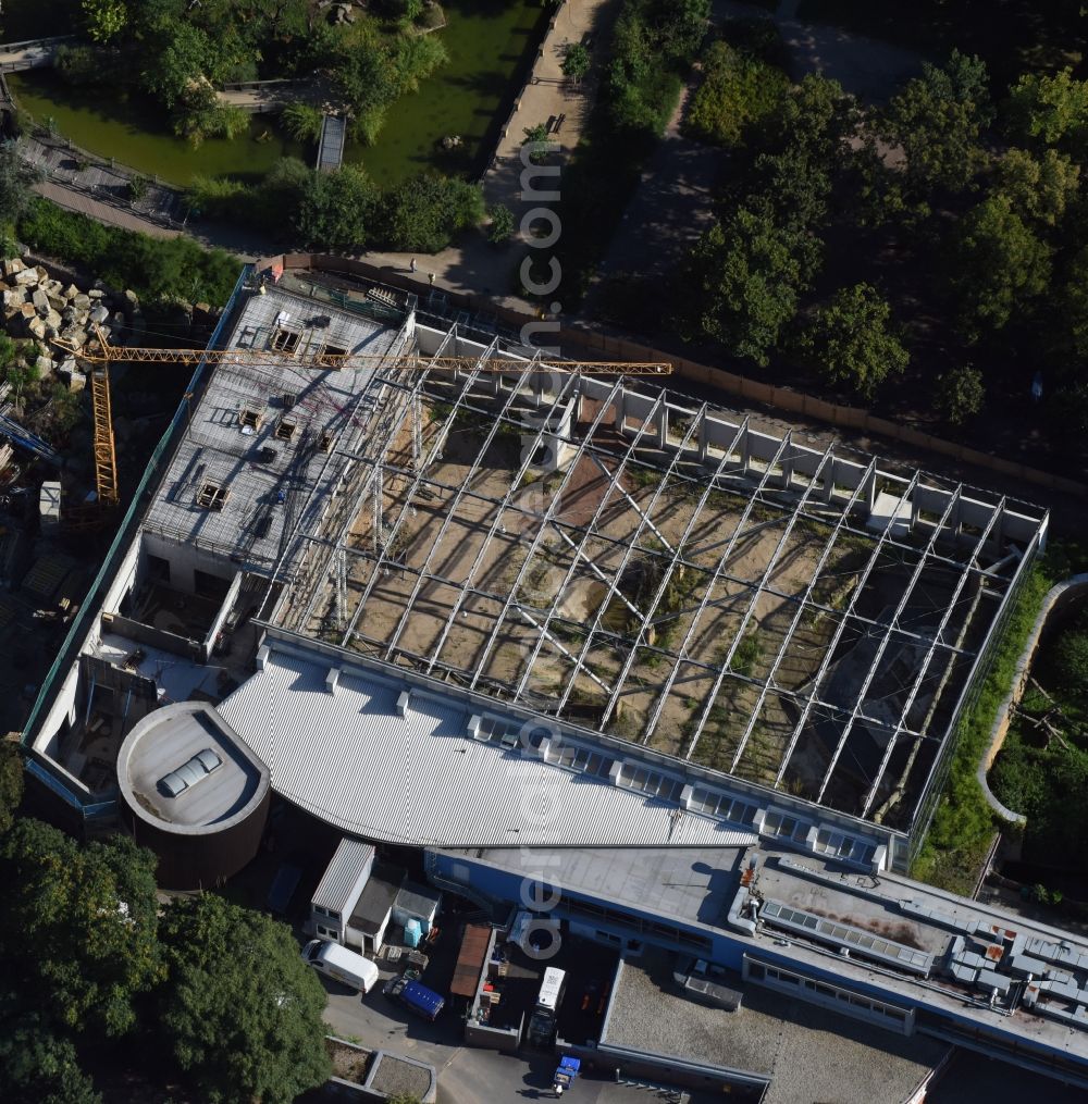 Aerial photograph Dresden - Construction for the reconstruction of the Afrikahaus of the Dresdener Zoo in Dresden in the state Saxony