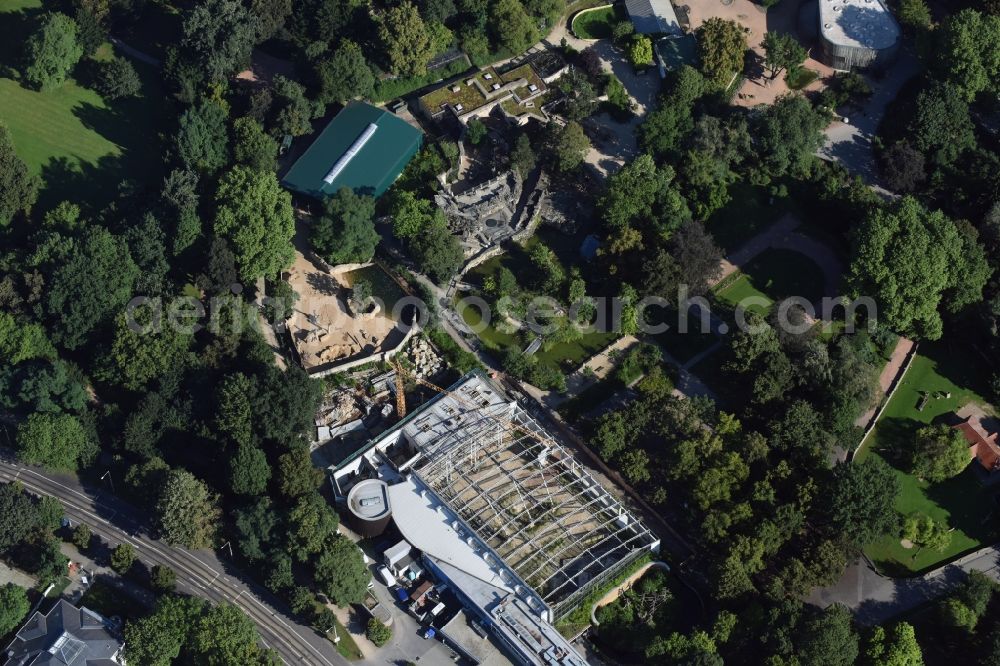 Aerial image Dresden - Construction for the reconstruction of the Afrikahaus of the Dresdener Zoo in Dresden in the state Saxony