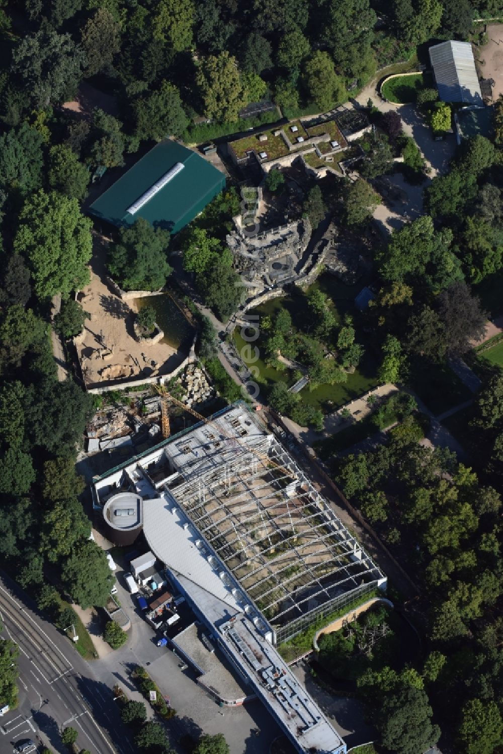 Aerial photograph Dresden - Construction for the reconstruction of the Afrikahaus of the Dresdener Zoo in Dresden in the state Saxony