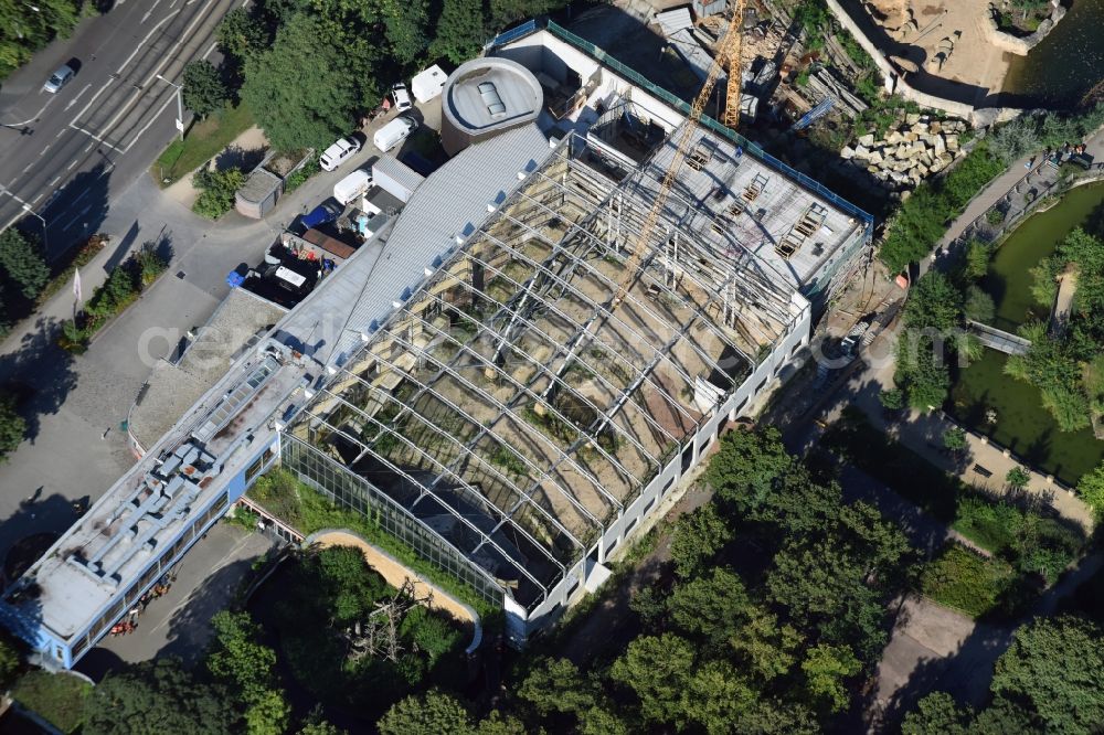 Aerial image Dresden - Construction for the reconstruction of the Afrikahaus of the Dresdener Zoo in Dresden in the state Saxony