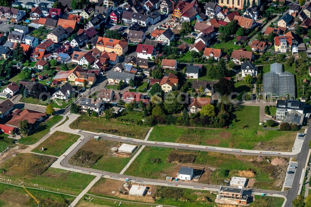 Niederschopfheim from above - Construction sites for new construction residential area of detached housing estate Baugebiet Laugasserfeld in Niederschopfheim in the state Baden-Wurttemberg, Germany