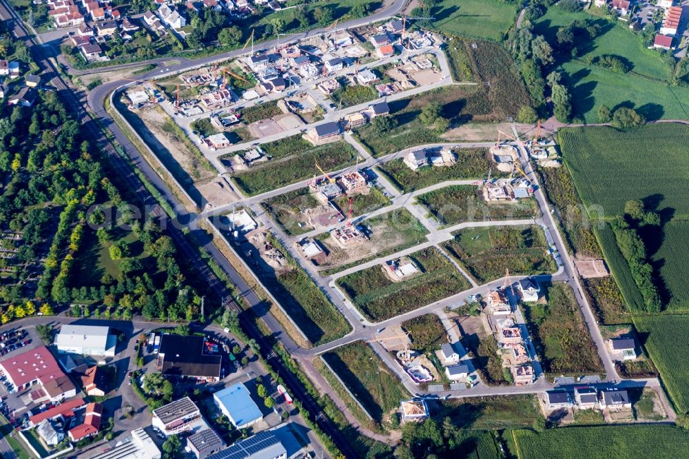 Wörth am Rhein from above - Construction sites for new construction residential area of detached housing estate In den Niederwiesen in Woerth am Rhein in the state Rhineland-Palatinate, Germany