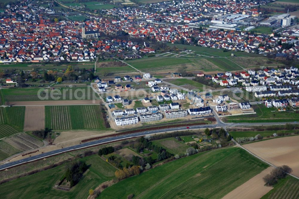 Bodenheim from the bird's eye view: Construction sites for new construction residential area of detached housing estate in Bodenheim in the state Rhineland-Palatinate