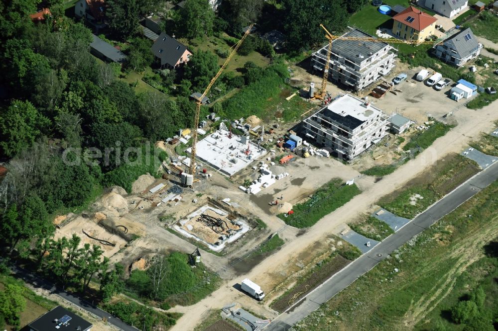 Aerial image Berlin - Construction sites for new construction residential area of detached housing estate Spitzmausweg in Berlin