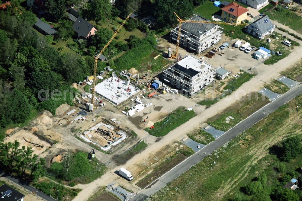 Berlin from above - Construction sites for new construction residential area of detached housing estate Spitzmausweg in Berlin