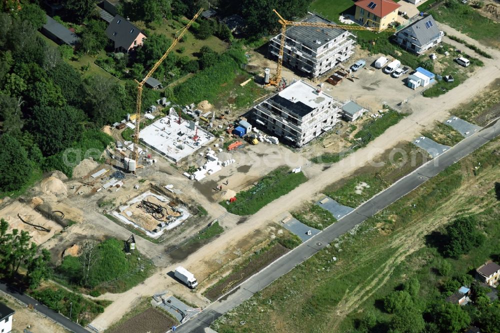 Berlin from the bird's eye view: Construction sites for new construction residential area of detached housing estate Spitzmausweg in Berlin