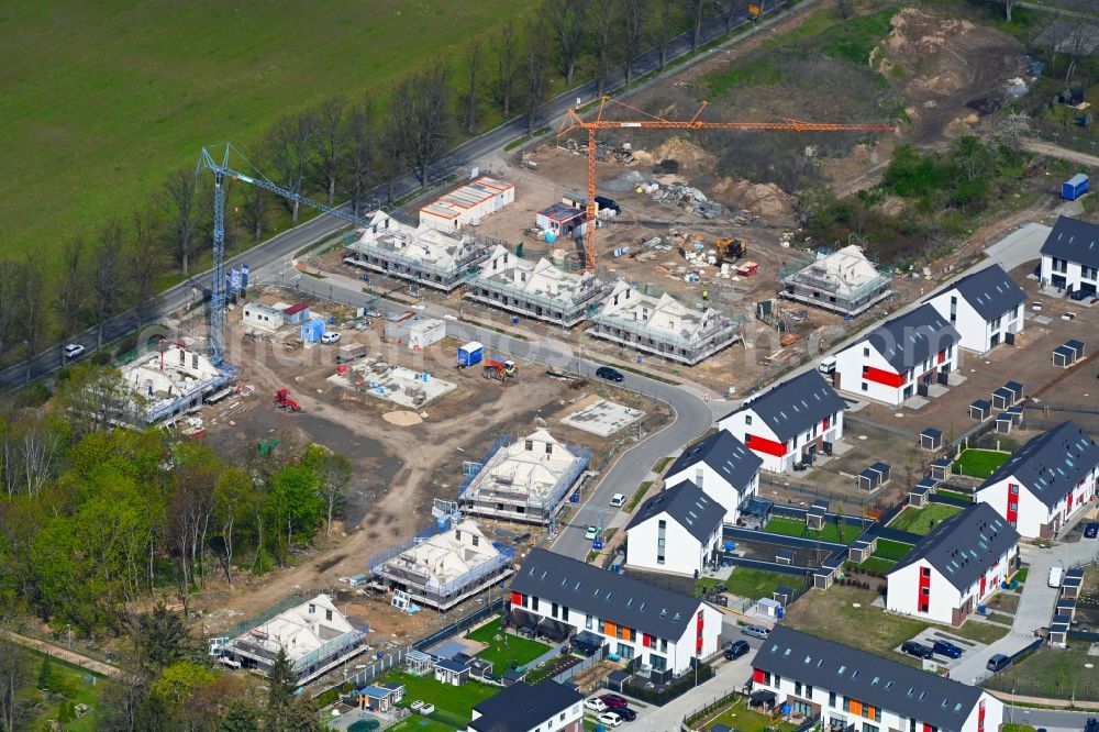 Schulzendorf from the bird's eye view: Construction sites for new construction residential area of detached housing estate Wohnen in Ritterschlag in Schulzendorf in the state Brandenburg, Germany