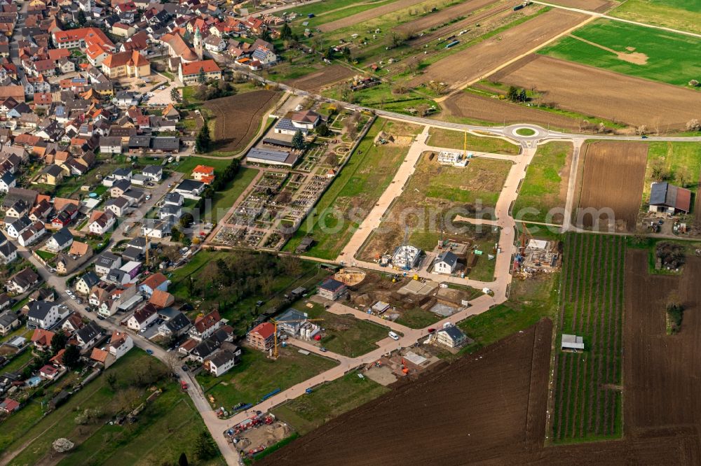 Wyhl am Kaiserstuhl from above - Construction sites for new construction residential area of detached housing estate in Wyhl am Kaiserstuhl in the state Baden-Wurttemberg, Germany