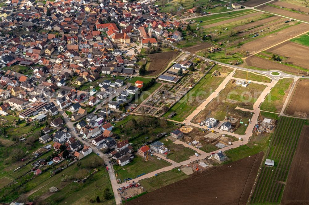 Wyhl am Kaiserstuhl from the bird's eye view: Construction sites for new construction residential area of detached housing estate in Wyhl am Kaiserstuhl in the state Baden-Wurttemberg, Germany