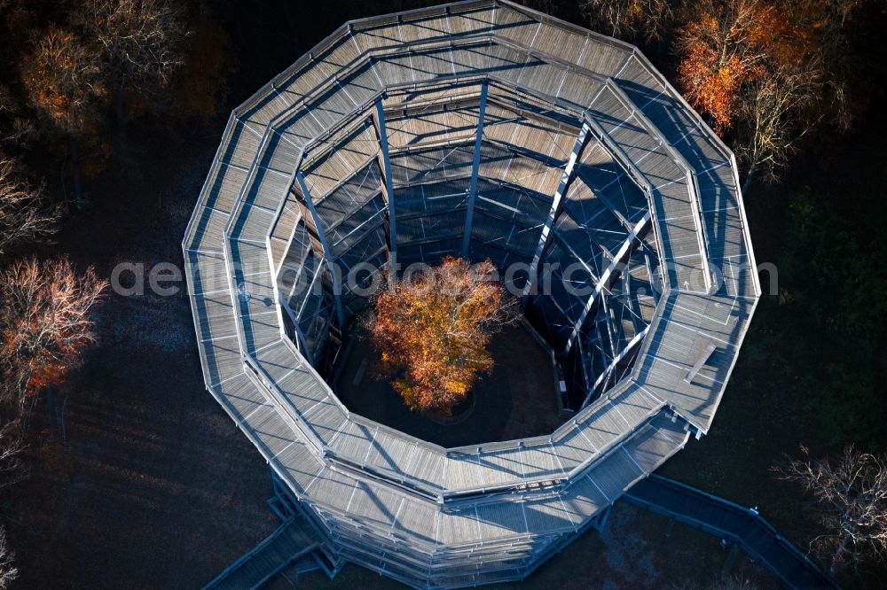 Ebracher Forst from above - structure of the observation tower Baumwipfelpfad Steigerwald Tower in Ebracher Forst in the state Bavaria, Germany