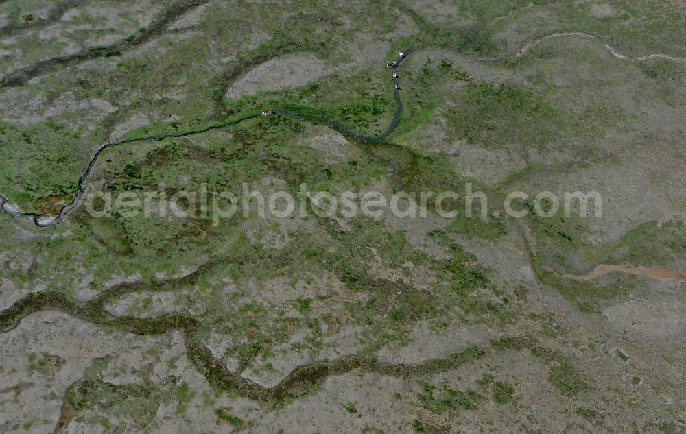 Aerial photograph Arcachon - Blick auf das Becken von Arcachon bei Ebbe. Der Tidenhub (Unterschied zwischen Ebbe und Flut) kann im Becken bis zu 5m betragen. Die Gezeiten im Becken bieten optimale Voraussetzungen für die Aufzucht von Austern. View of the Bay of Arcachon at low tide. The tidal range (difference between high and low tide) can reach up to 5m. The tides provide ideal conditions for the breeding of oysters.