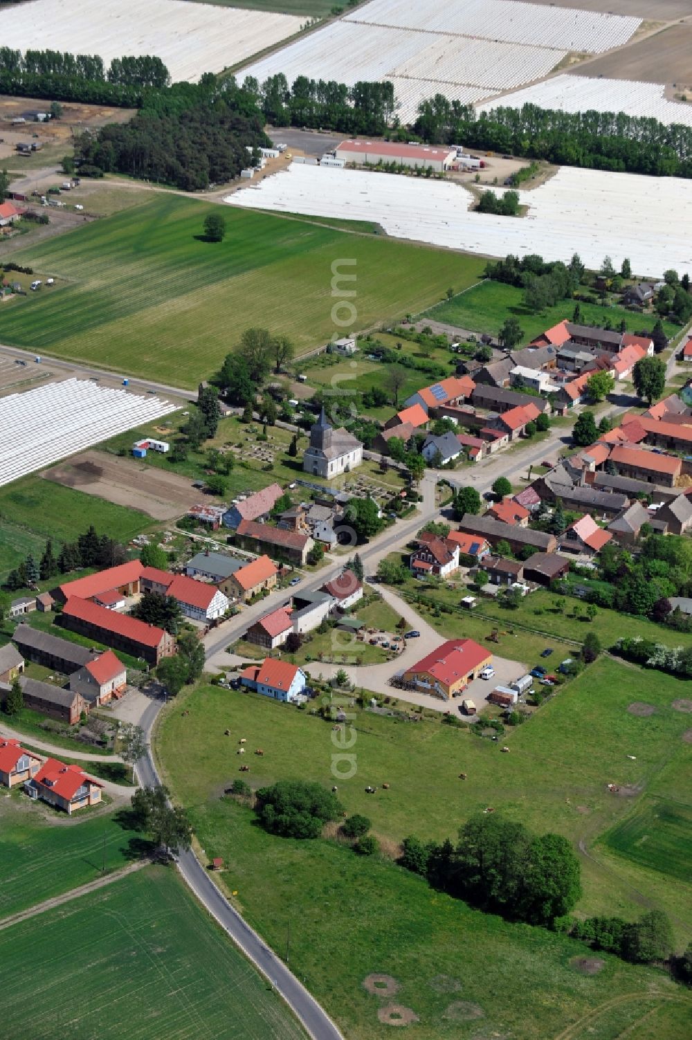 Beelitz OT Schlunkendorf from the bird's eye view: Schlunkendorf in the state Brandenburg