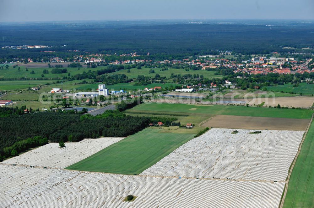 Aerial photograph Beelitz - Beelitzer Spargel-Ernte / Spargel stechen auf den Spargefeldern. Asparagus harvest on the asparagus fields.