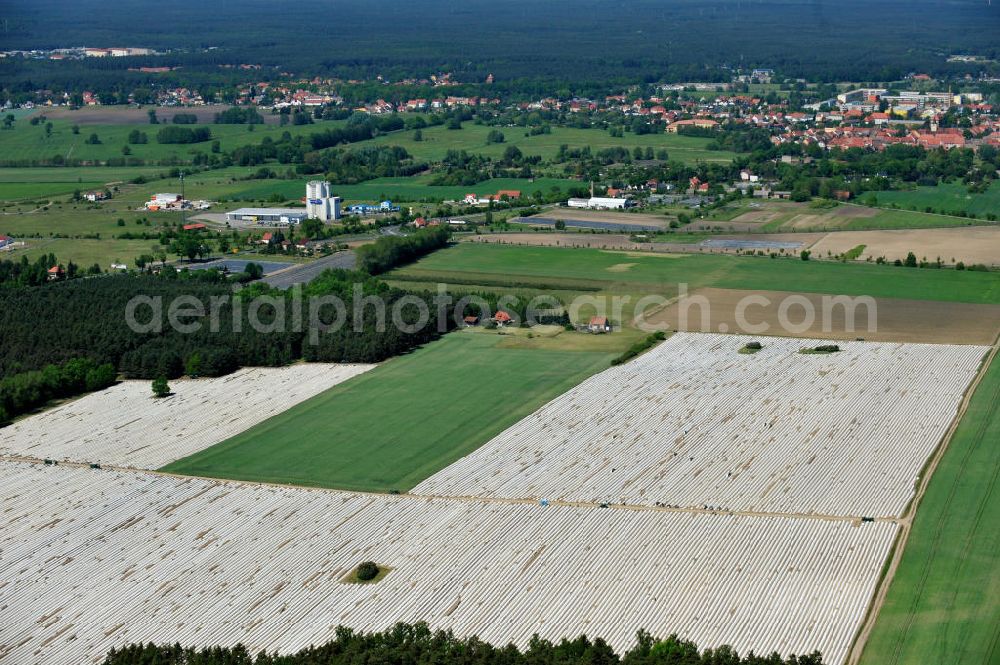 Beelitz from above - Beelitzer Spargel-Ernte / Spargel stechen auf den Spargefeldern. Asparagus harvest on the asparagus fields.