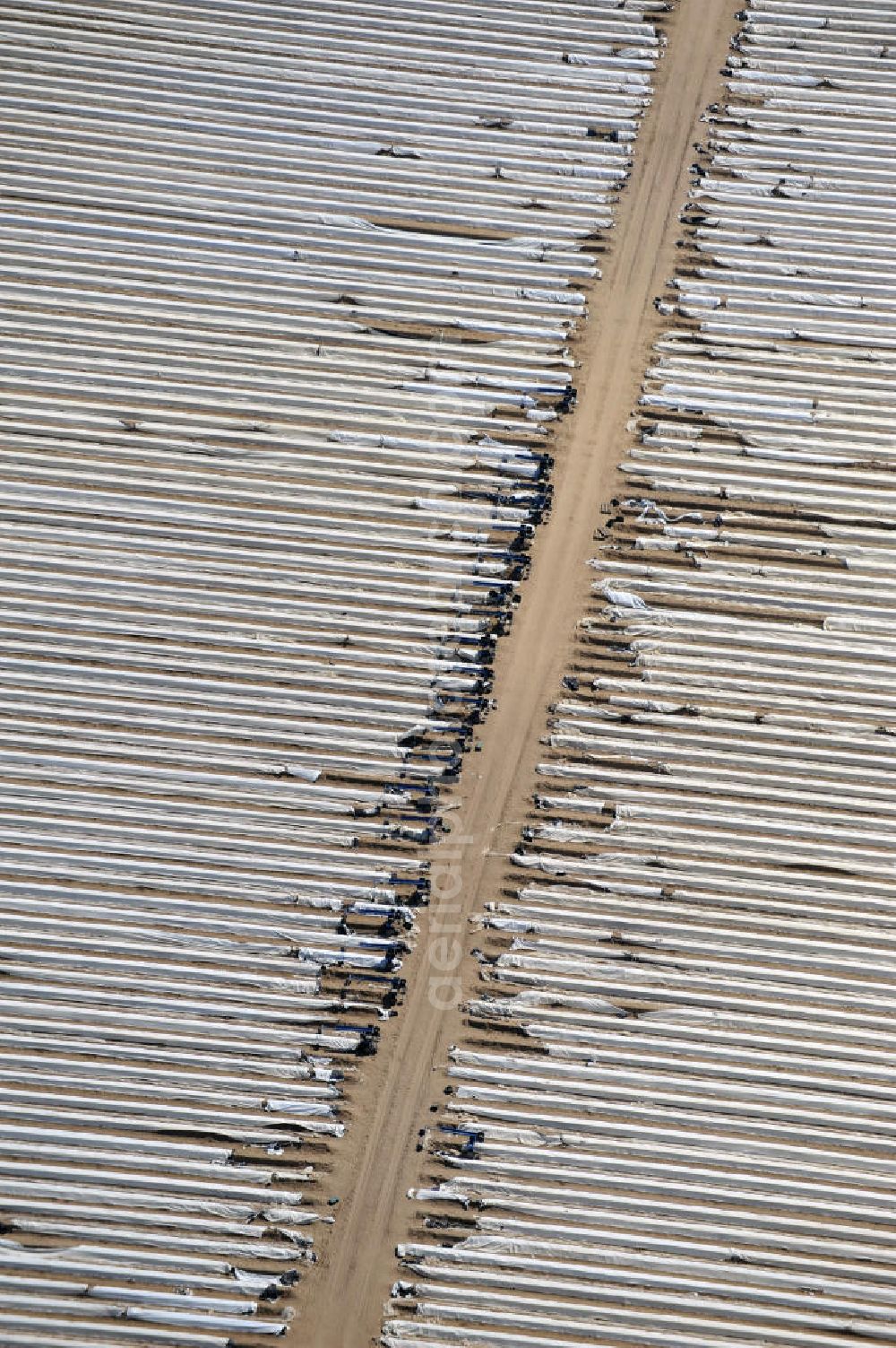 Aerial photograph Beelitz - Beelitzer Spargel-Ernte / Spargel stechen auf den Spargefeldern. Asparagus harvest on the asparagus fields.