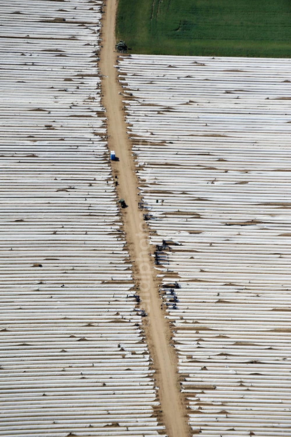 Aerial image Beelitz - Beelitzer Spargel-Ernte / Spargel stechen auf den Spargefeldern. Asparagus harvest on the asparagus fields.