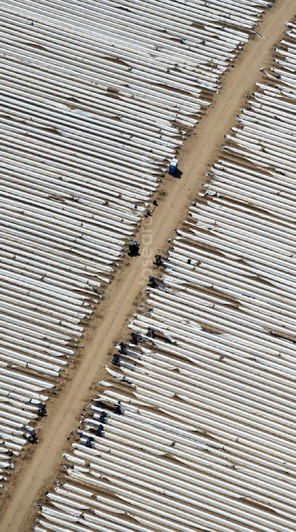 Aerial photograph Beelitz - Beelitzer Spargel-Ernte / Spargel stechen auf den Spargefeldern. Asparagus harvest on the asparagus fields.