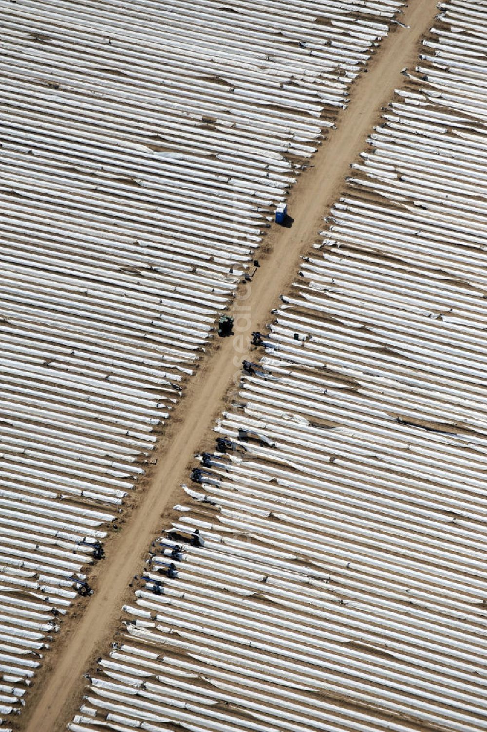 Beelitz from above - Beelitzer Spargel-Ernte / Spargel stechen auf den Spargefeldern. Asparagus harvest on the asparagus fields.