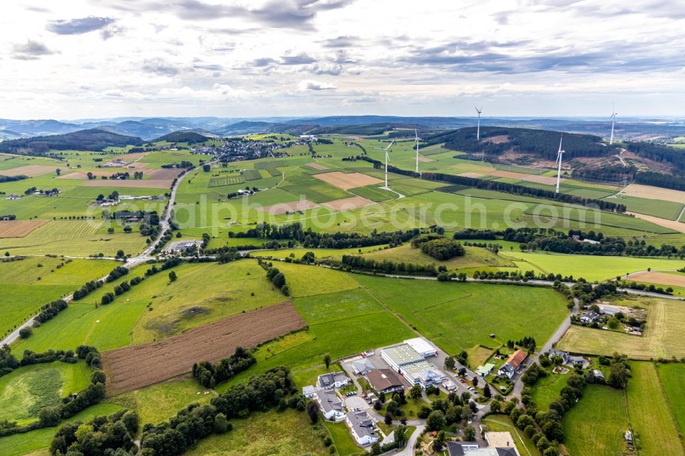 Brilon from the bird's eye view: Home for disabled people and workshop Assisted Living of the St. Martin Werkstatt on Muehlenweg overlooking the rows of trees on the edge of the field along the B7 and Altenbuerener Strasse in Brilon in the state North Rhine-Westphalia, Germany