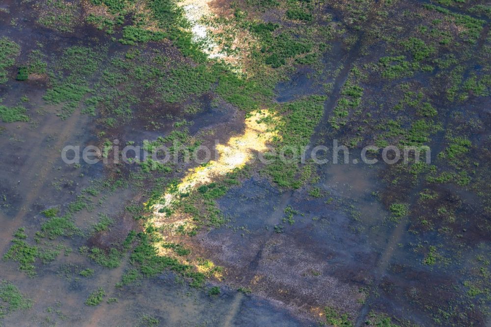 Aerial photograph Bremen - Riparian areas and flooded flood meadows due to a river bed leading to flood levels in the district Borgfeld in Bremen, Germany