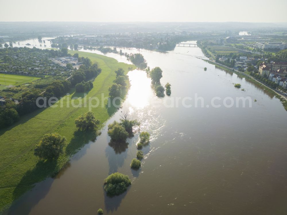 Dresden from above - Bank areas and flooded flood meadows due to the high water level leading riverbed of the Elbe in the district of Gohlis in Dresden in the federal state of Saxony, Germany