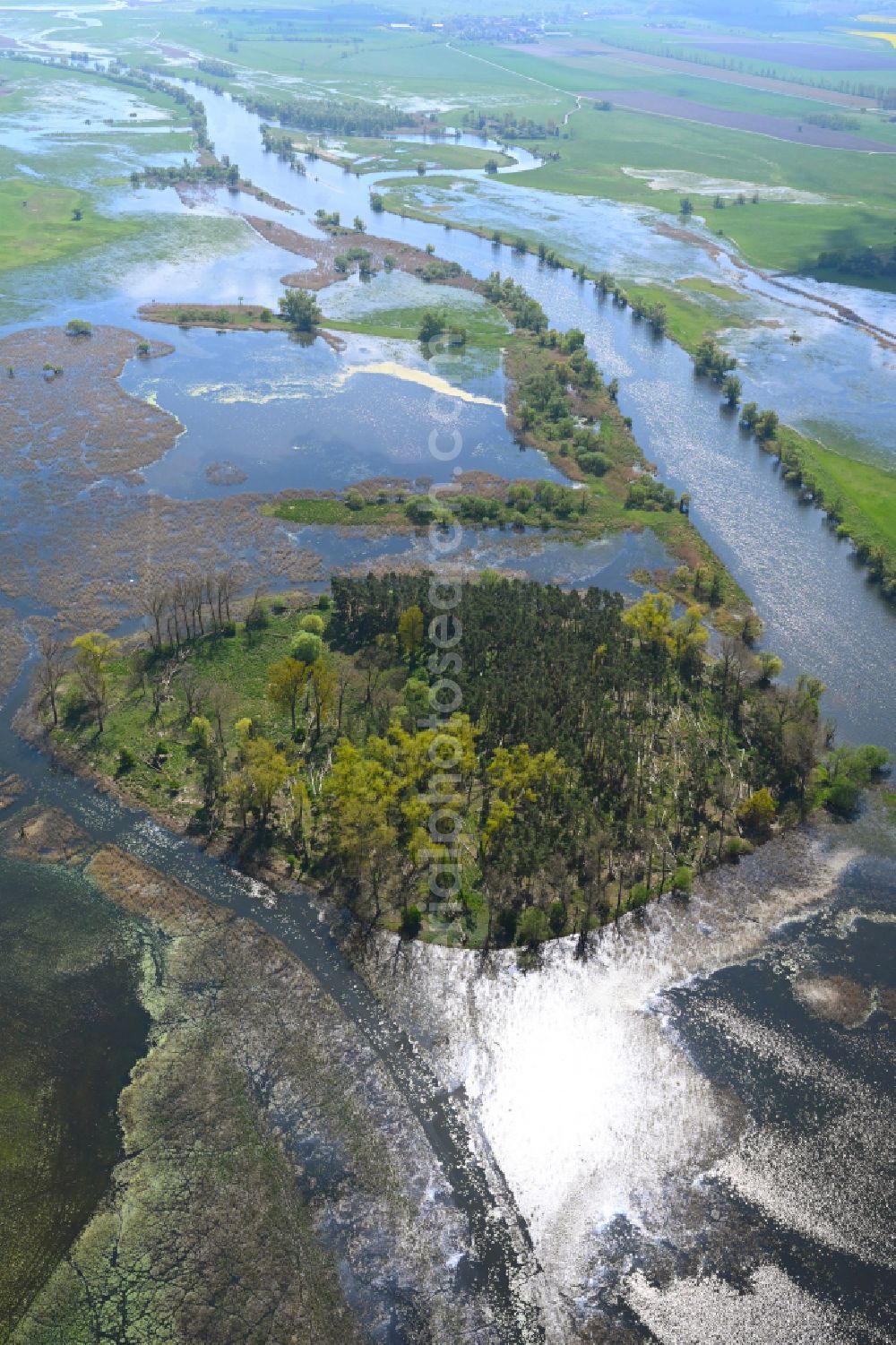 Jederitz from the bird's eye view: Riparian areas and flooded flood meadows due to a river bed leading to flood levels the Havel in Jederitz in the state Saxony-Anhalt, Germany