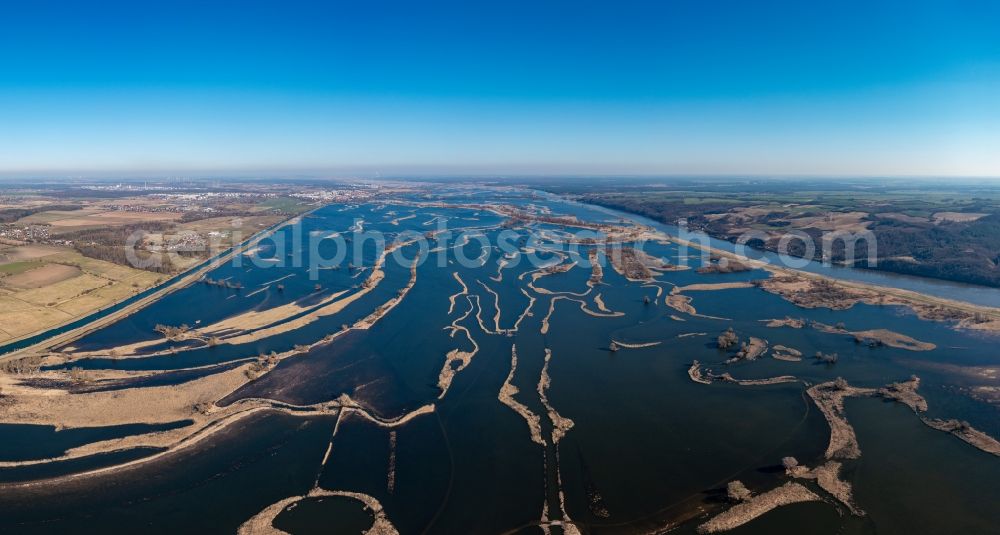 Aerial image Schwedt/Oder - Riparian areas and flooded flood meadows due to a river bed leading to flood levels of Oder in Schwedt/Oder in the Uckermark in the state Brandenburg, Germany