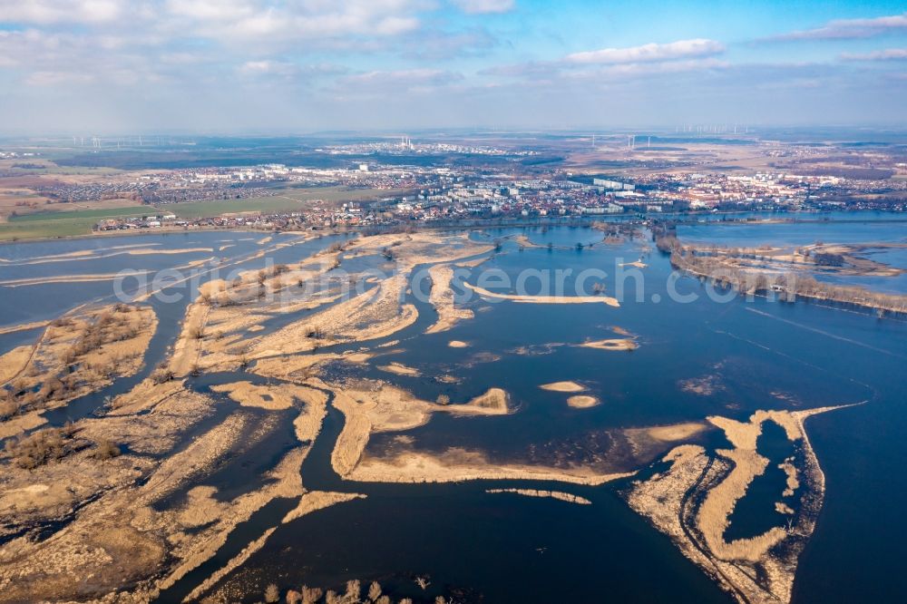 Schwedt/Oder from above - Riparian areas and flooded flood meadows due to a river bed leading to flood levels of Oder in Schwedt/Oder in the Uckermark in the state Brandenburg, Germany