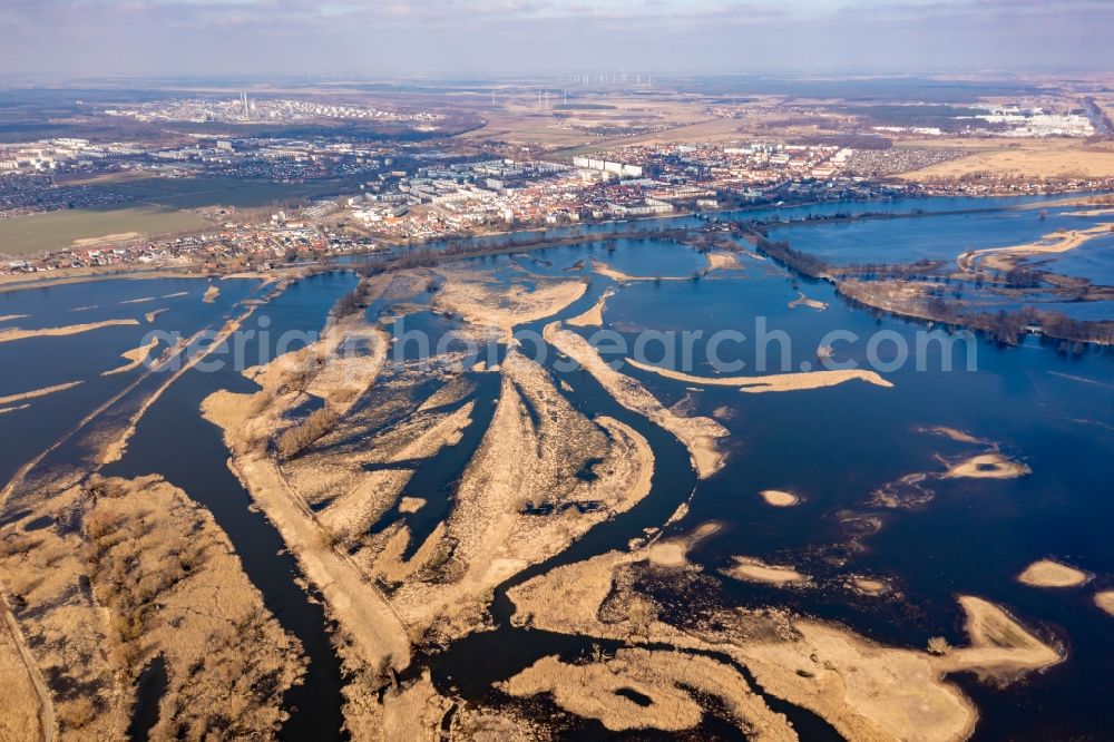 Aerial image Schwedt/Oder - Riparian areas and flooded flood meadows due to a river bed leading to flood levels of Oder in Schwedt/Oder in the Uckermark in the state Brandenburg, Germany