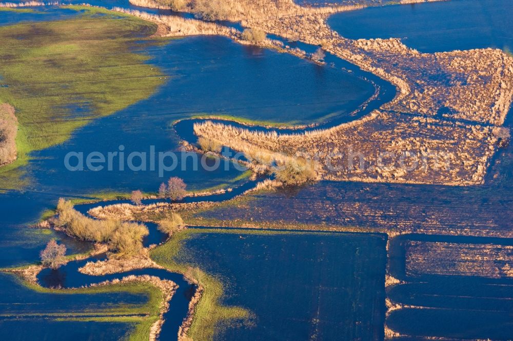 Bremervörde from above - Riparian areas and flooded flood meadows due to a river bed leading to flood levels of Oste in Bremervoerde in the state Lower Saxony, Germany