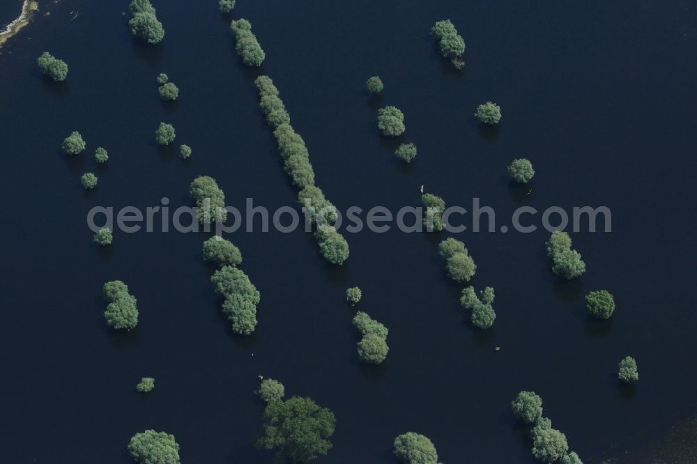 Havelberg from above - Riparian areas and flooded flood meadows due to a river bed leading to flood levels of Unteren Havel in Havelberg in the state Saxony-Anhalt, Germany