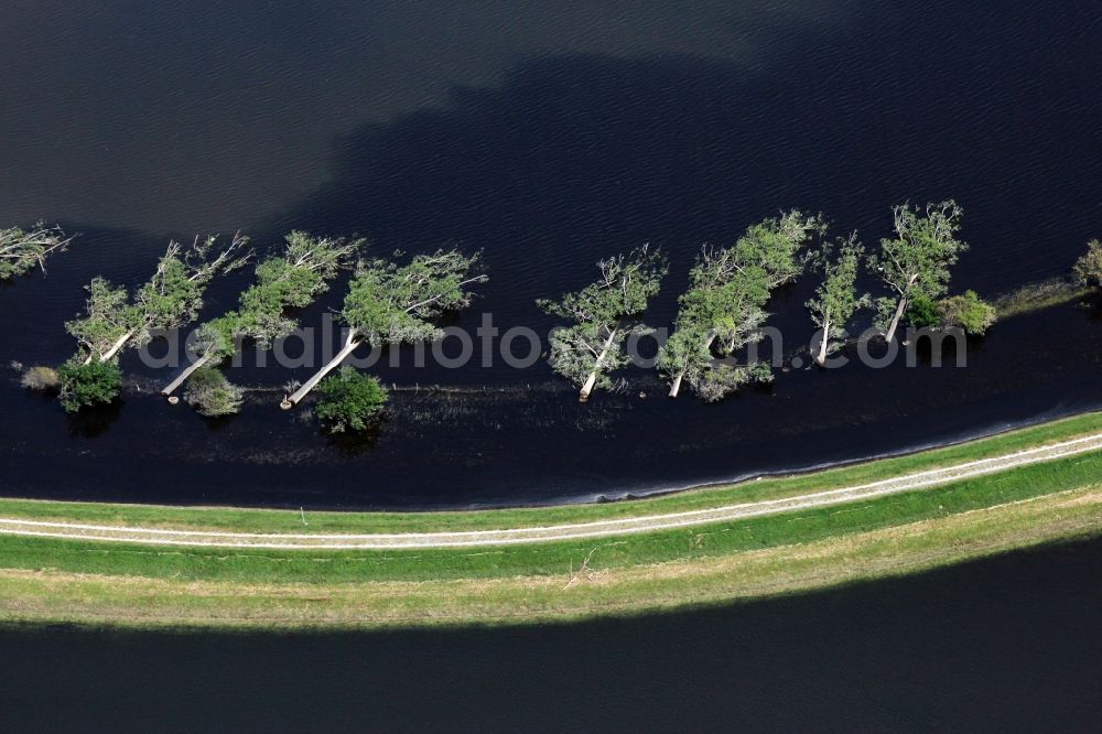 Aerial image Havelberg - Riparian areas and flooded flood meadows due to a river bed leading to flood levels of Unteren Havel in Havelberg in the state Saxony-Anhalt, Germany