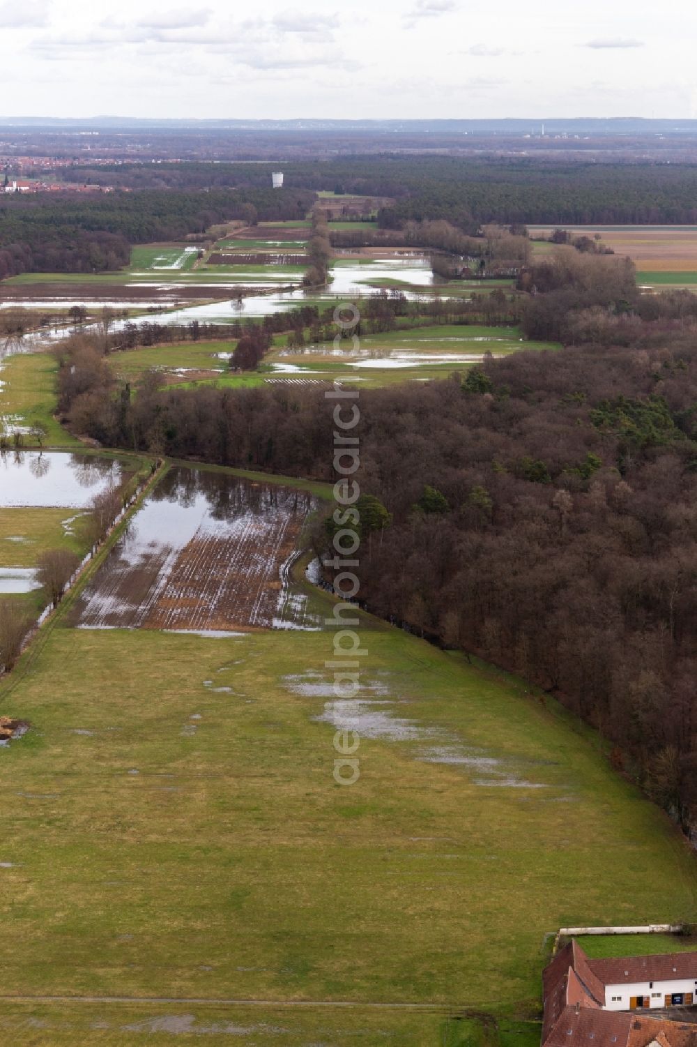 Neupotz from above - Riparian areas and flooded flood meadows of Polder Neupotz due to a river bed leading to flood levels of the Rhine river in Neupotz in the state Rhineland-Palatinate, Germany