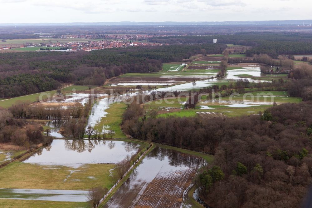 Neupotz from the bird's eye view: Riparian areas and flooded flood meadows of Polder Neupotz due to a river bed leading to flood levels of the Rhine river in Neupotz in the state Rhineland-Palatinate, Germany