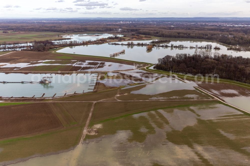 Aerial image Neupotz - Riparian areas and flooded flood meadows of Polder Neupotz due to a river bed leading to flood levels of the Rhine river in Neupotz in the state Rhineland-Palatinate, Germany