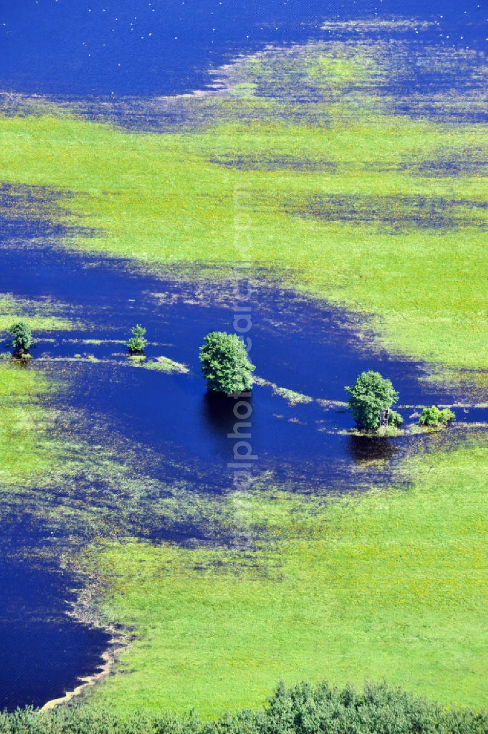 Ostseebad Graal-Müritz from above - Das durch überdurchschnittlichen Regen und Grundwassereinfluß überflutete Landschaftsschutzgebiet “Tabakwiesen” bei Graal-Müritz in Mecklenburg-Vorpommern. Flooded landscape conservation area tobacco fields near by Graal-Müritz in Mecklenburg-Western Pomerania.