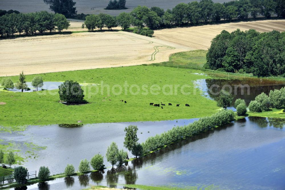 Aerial photograph Poggelow - Überflutung von Feldern und Wiesen in Mecklenburg-Vorpommern. Flooding of meadows and fields in Mecklenburg-Western Pomerania.