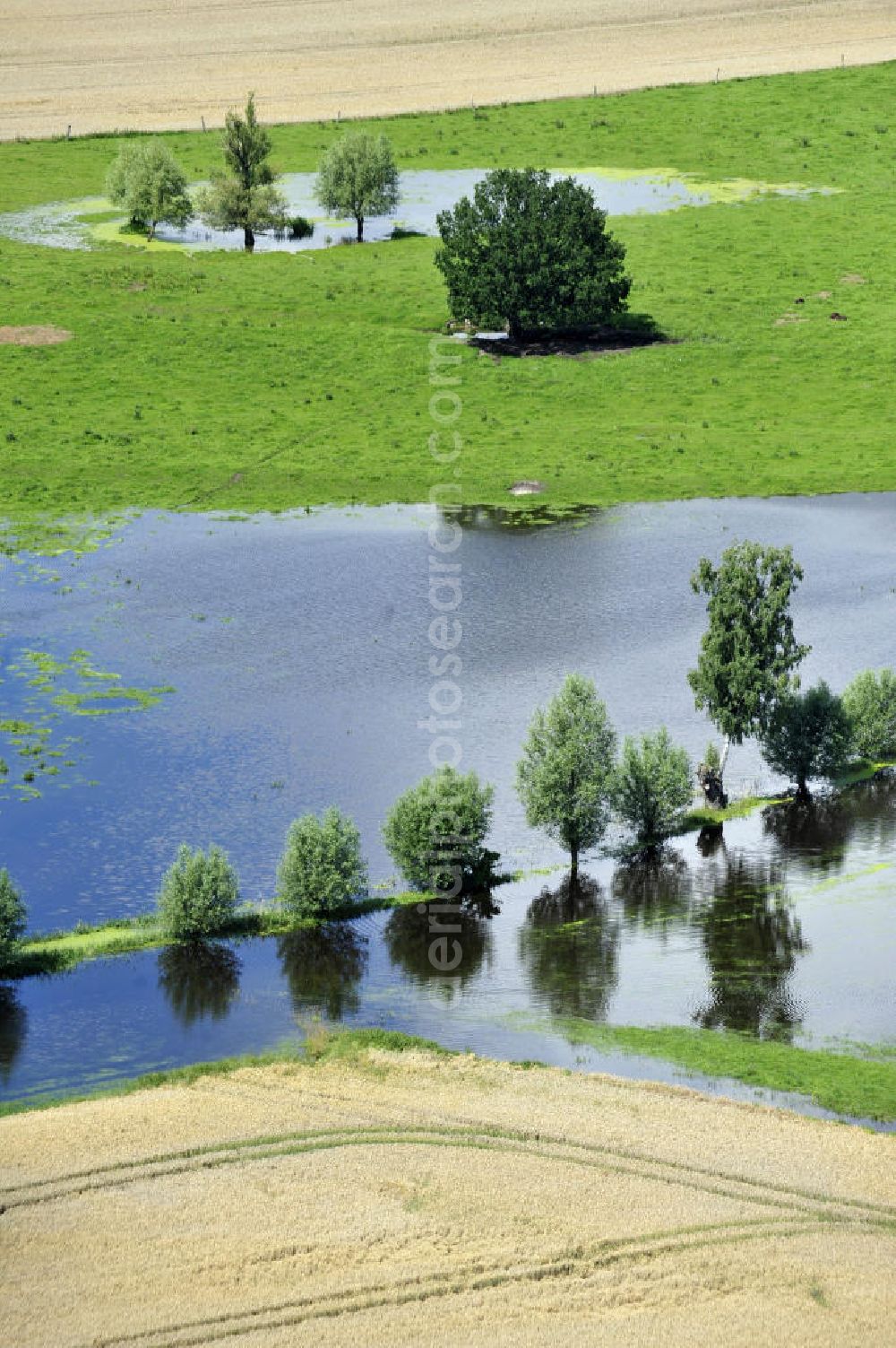 Poggelow from the bird's eye view: Überflutung von Feldern und Wiesen in Mecklenburg-Vorpommern. Flooding of meadows and fields in Mecklenburg-Western Pomerania.