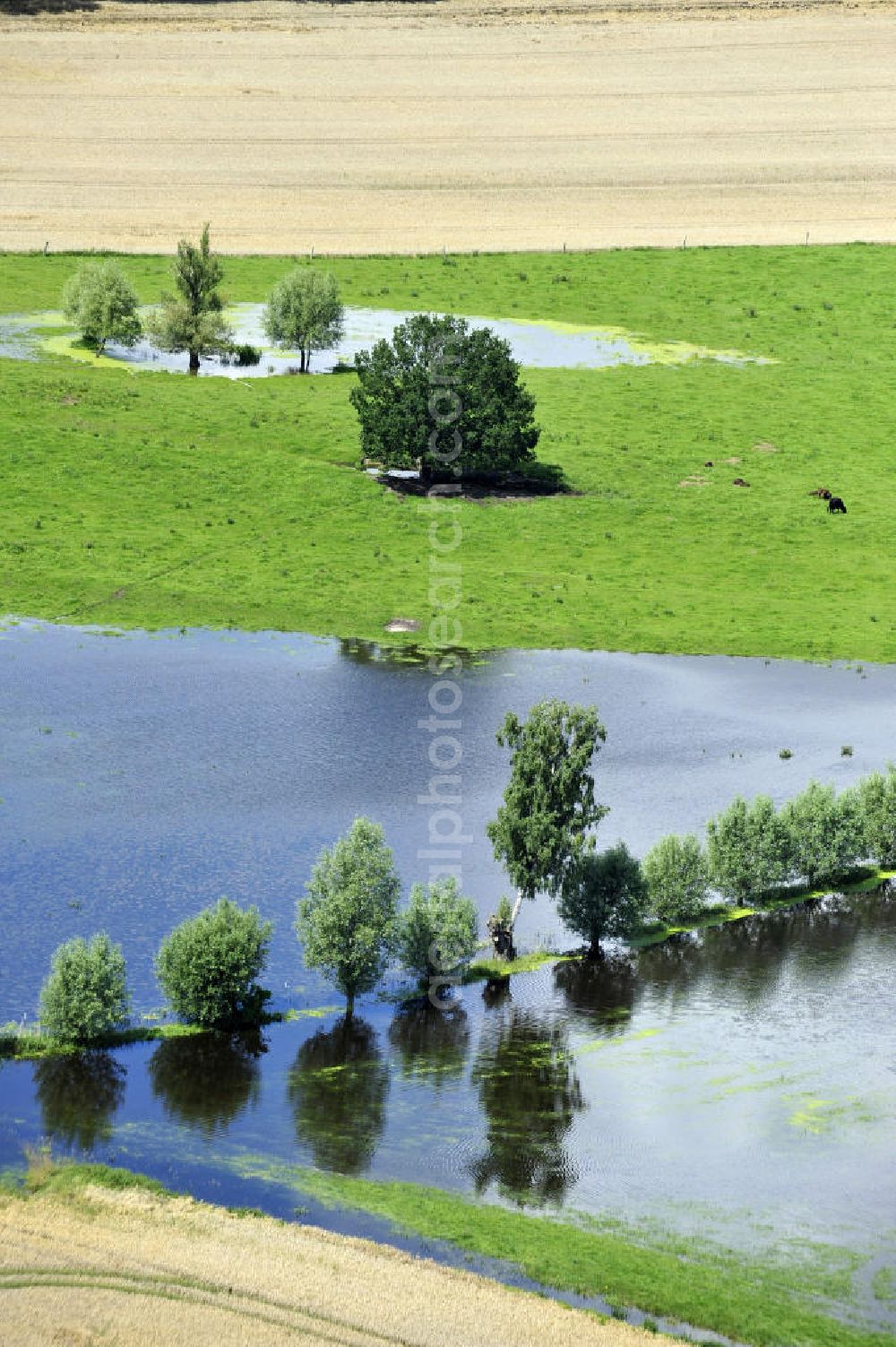 Aerial image Poggelow - Überflutung von Feldern und Wiesen in Mecklenburg-Vorpommern. Flooding of meadows and fields in Mecklenburg-Western Pomerania.