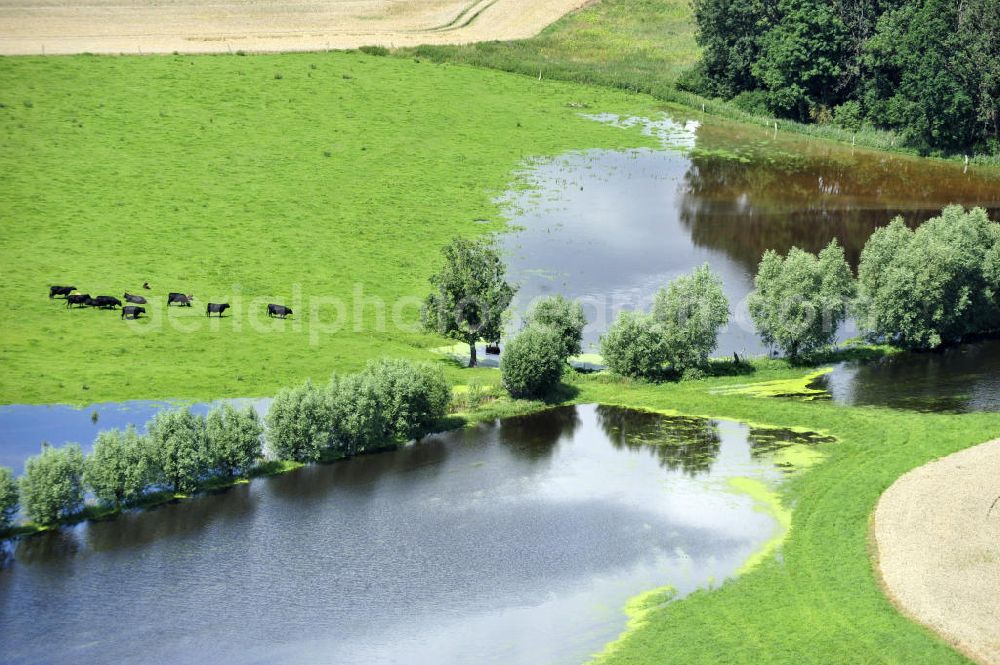 Aerial photograph Poggelow - Überflutung von Feldern und Wiesen in Mecklenburg-Vorpommern. Flooding of meadows and fields in Mecklenburg-Western Pomerania.