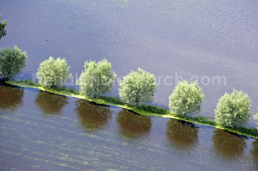 Poggelow from the bird's eye view: Überflutung von Feldern und Wiesen in Mecklenburg-Vorpommern. Flooding of meadows and fields in Mecklenburg-Western Pomerania.