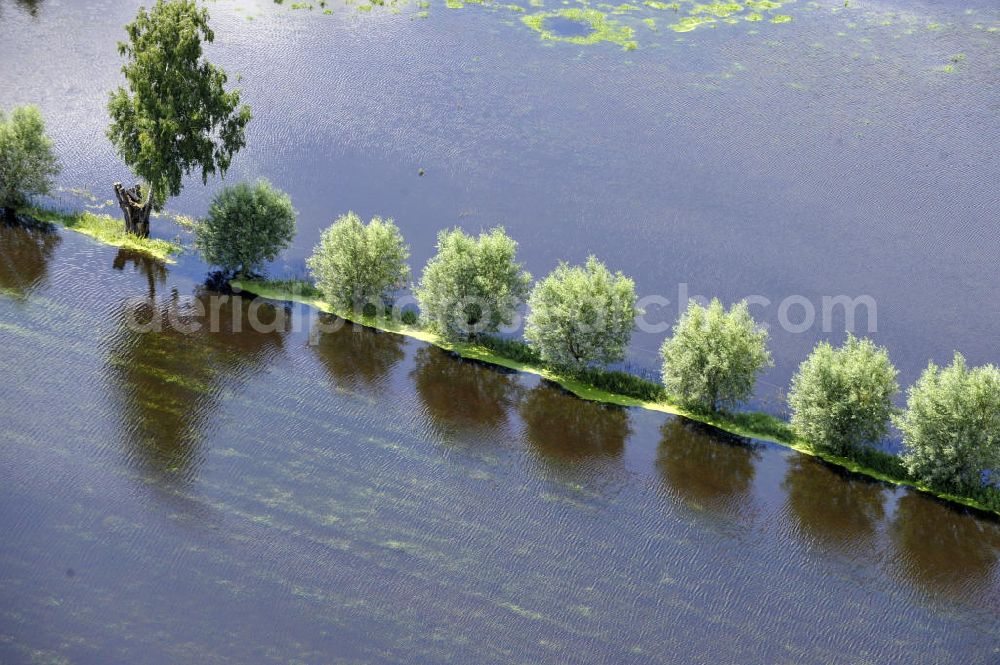 Aerial photograph Poggelow - Überflutung von Feldern und Wiesen in Mecklenburg-Vorpommern. Flooding of meadows and fields in Mecklenburg-Western Pomerania.