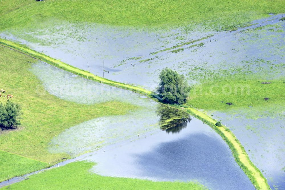 Poggelow from the bird's eye view: Überflutung von Feldern und Wiesen in Mecklenburg-Vorpommern. Flooding of meadows and fields in Mecklenburg-Western Pomerania.