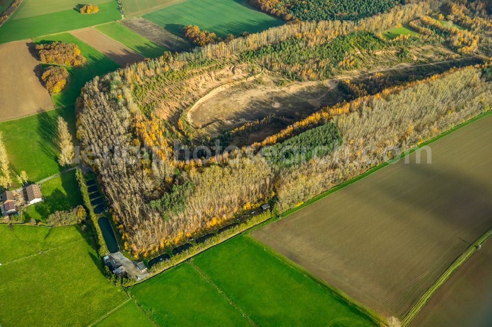 Düren from above - Layers of a mining waste dump Berghalde Beythal in Dueren in the state North Rhine-Westphalia, Germany