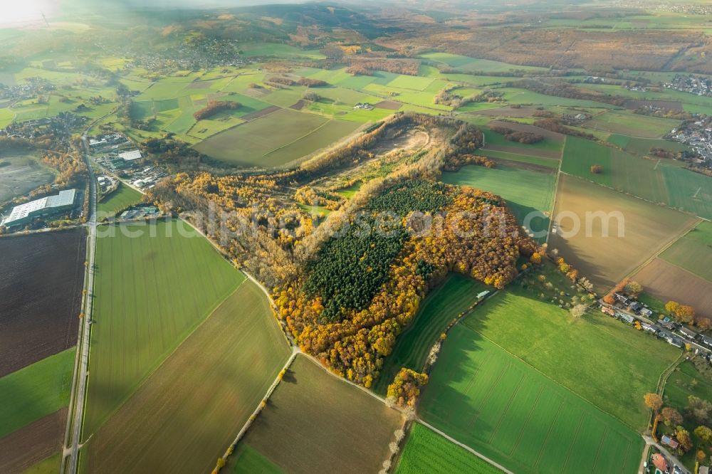 Düren from the bird's eye view: Layers of a mining waste dump Berghalde Beythal in Dueren in the state North Rhine-Westphalia, Germany