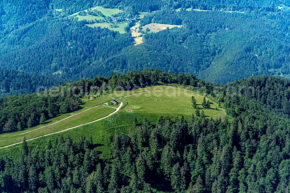 Waldkirch from the bird's eye view: Rock and mountain landscape Berggipfel of Kandel in Waldkirch in the state Baden-Wurttemberg, Germany