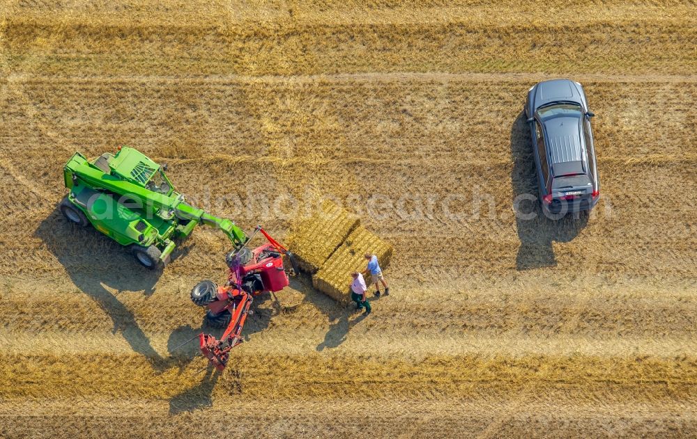 Aerial photograph Meschede - Harvest use of heavy agricultural machinery - harvesting vehicles on agricultural fields in Meschede in the state North Rhine-Westphalia