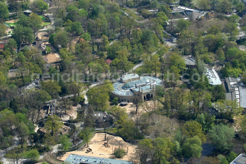 Aerial photograph Berlin - Frühjahrsstimmung im Berliner Zoo in Berlin-Charlottenburg. Spring mood in the Berlin Zoo in Berlin-Charlottenburg.