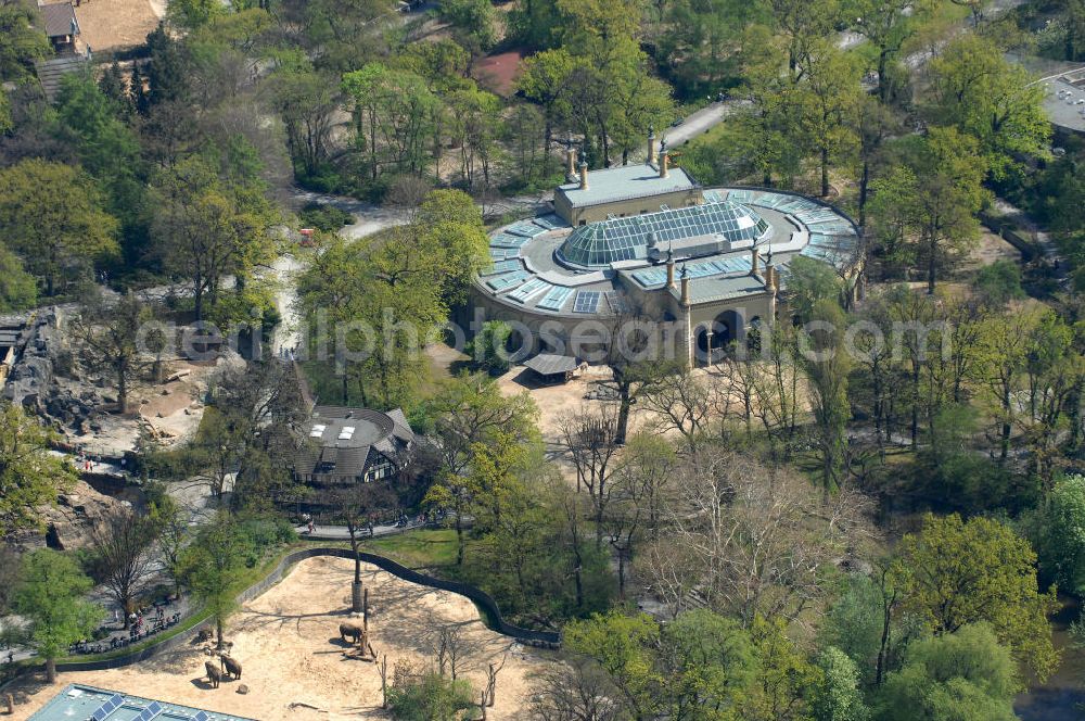 Berlin from above - Frühjahrsstimmung im Berliner Zoo in Berlin-Charlottenburg. Spring mood in the Berlin Zoo in Berlin-Charlottenburg.