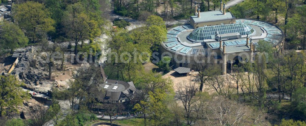 Berlin from the bird's eye view: Frühjahrsstimmung im Berliner Zoo in Berlin-Charlottenburg. Spring mood in the Berlin Zoo in Berlin-Charlottenburg.